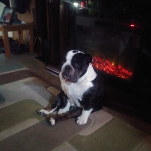 Meet your Posher, Robert